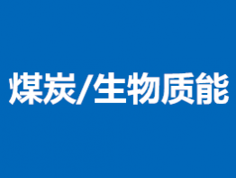 煤炭生物质能检测